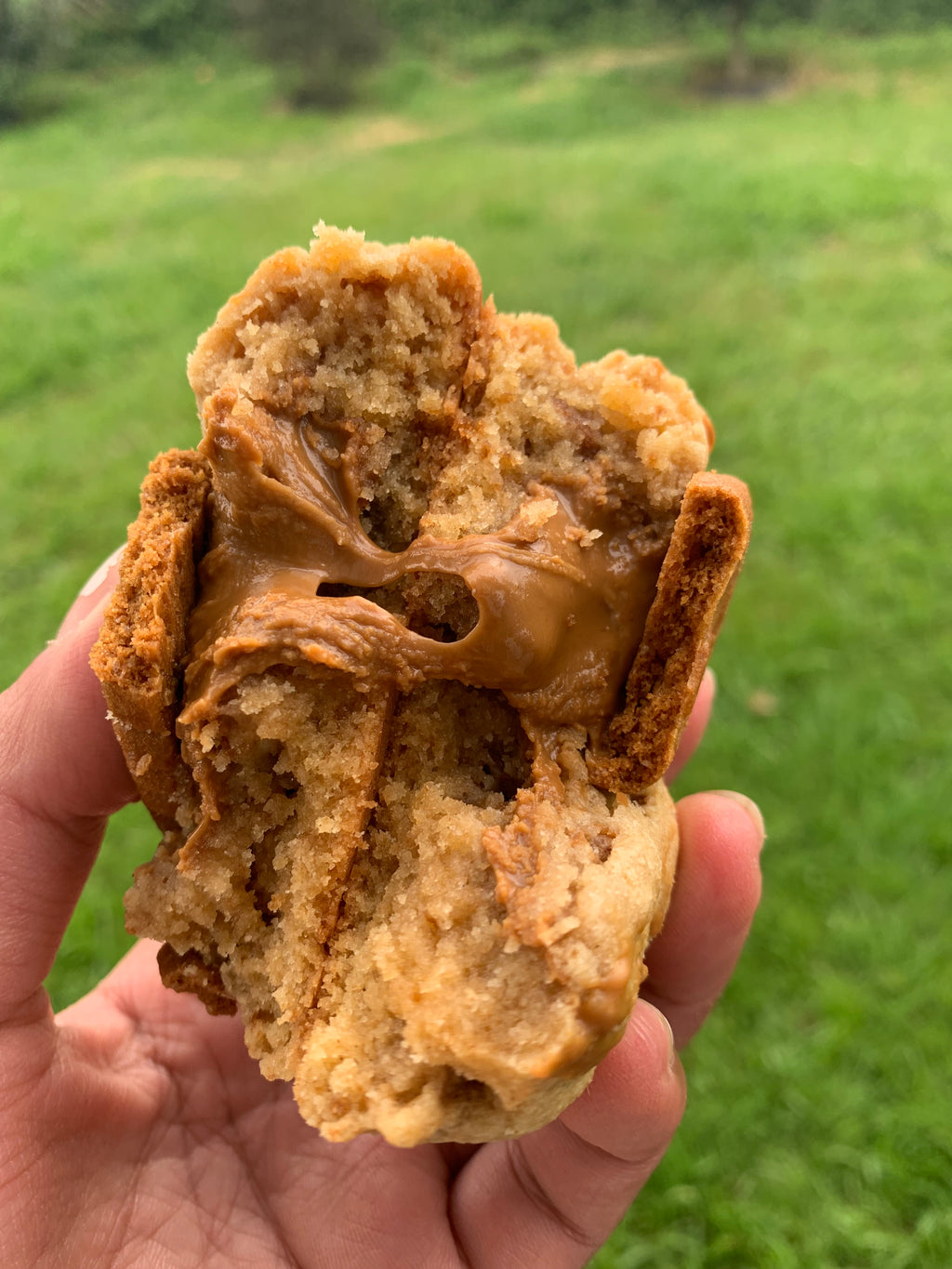 Biscoff Stuffed Cookie