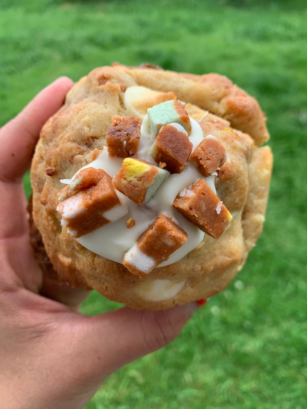 Lolly Cake Cookie