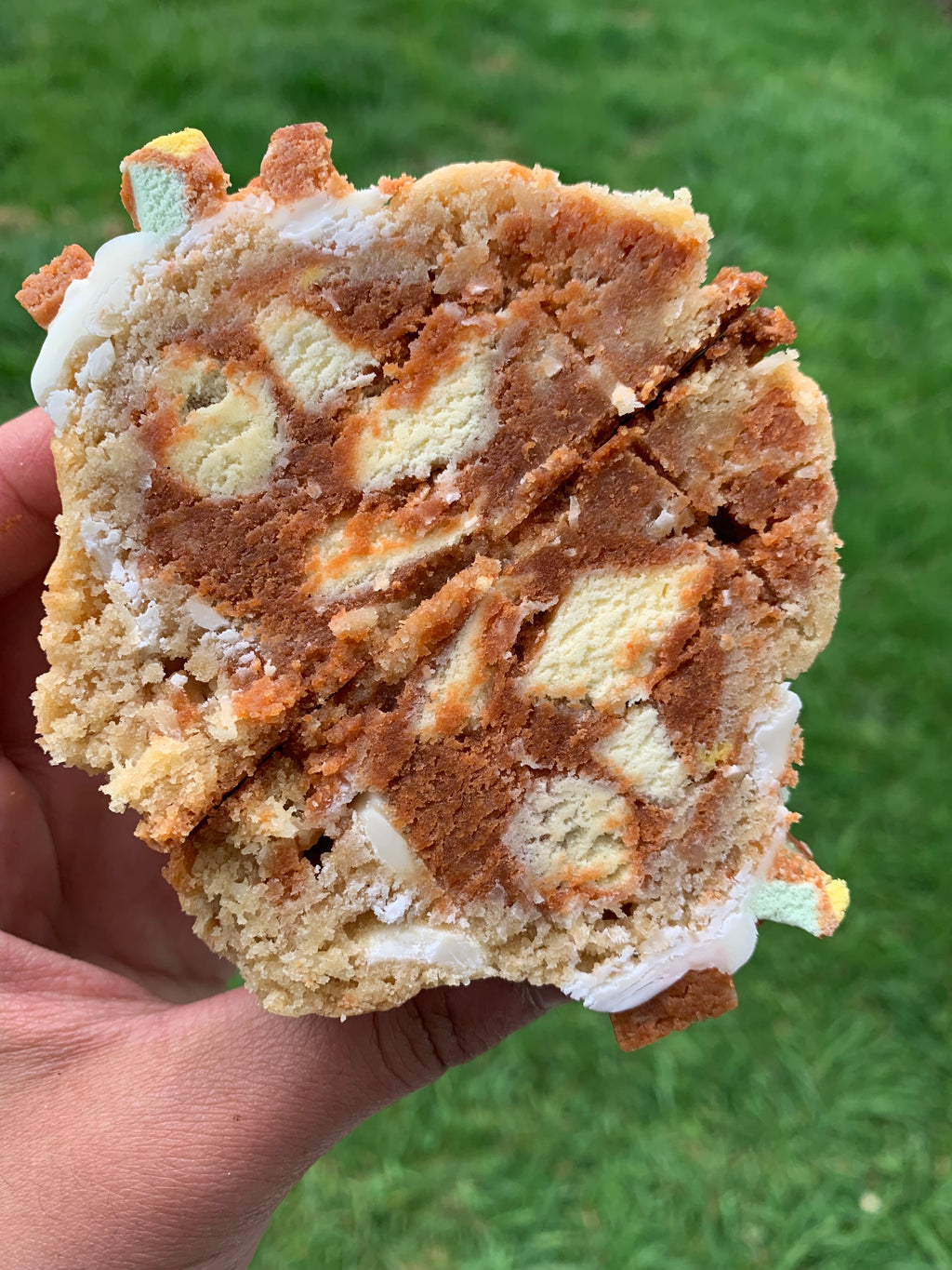Lolly Cake Cookie