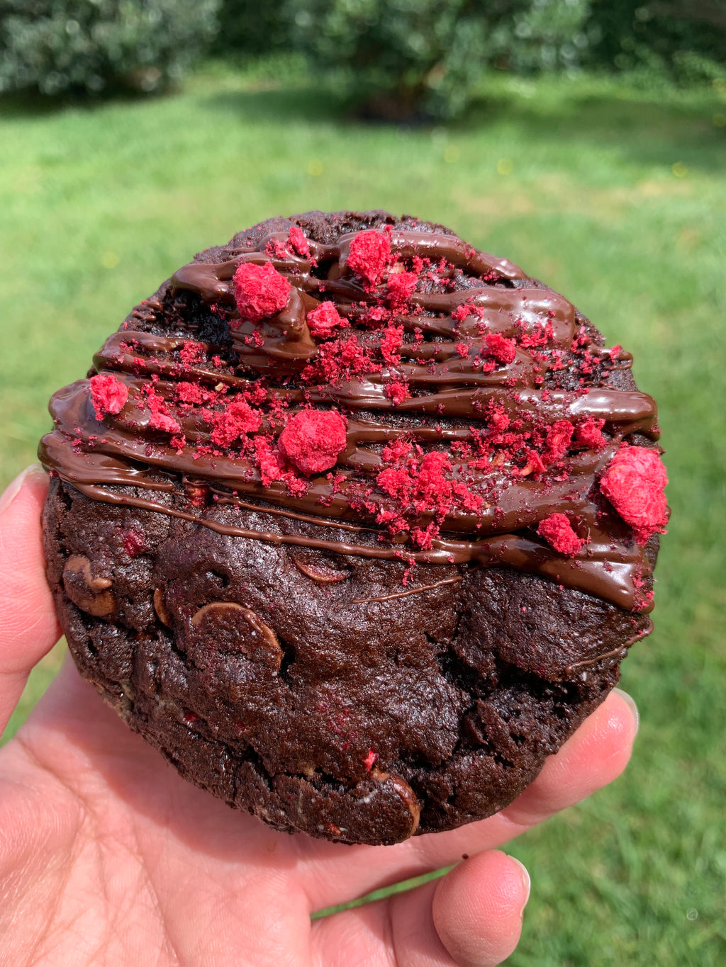 Dark Chocolate and Raspberry