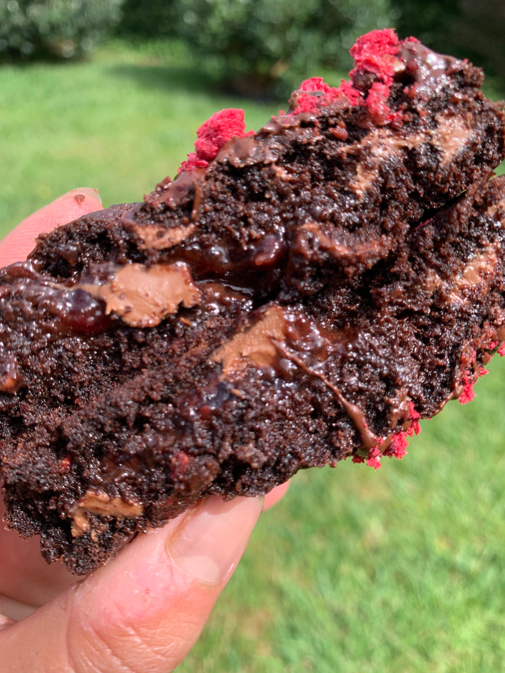 Dark Chocolate and Raspberry